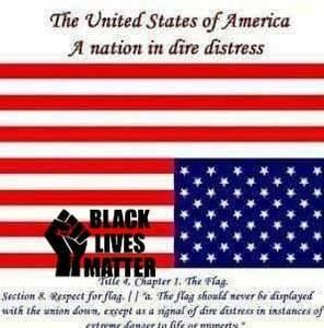 Meet your Posher, Lillian